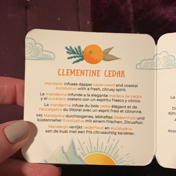 Father’s Day Oil Bundle Scentsy - Picture 3 of 6